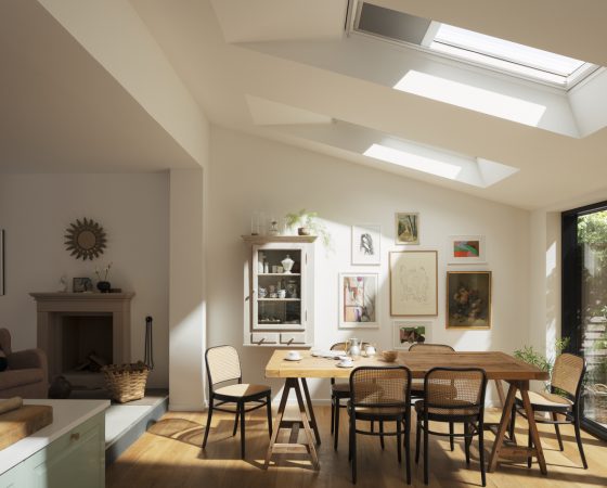 Velux Windows Bodmin, Holsworthy Torrington